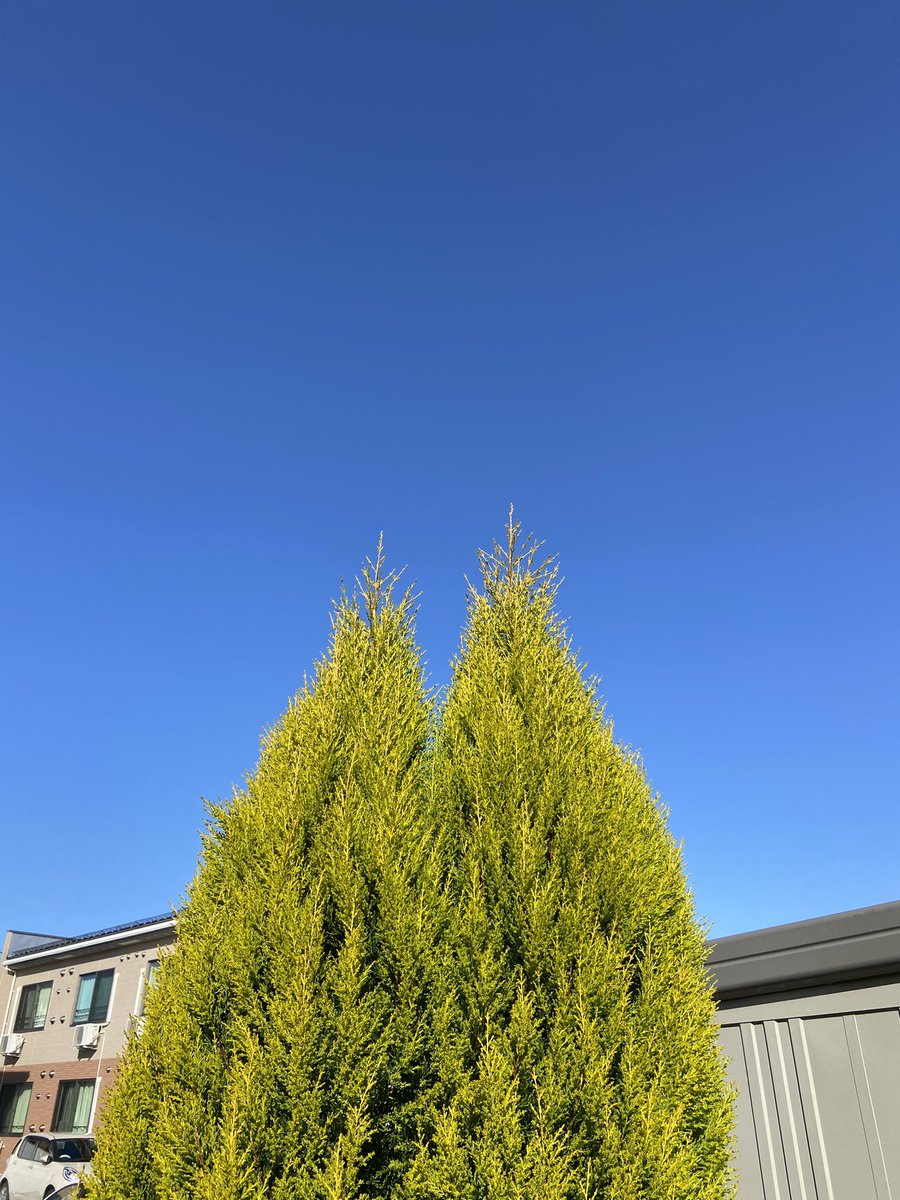 芯止め 芯止め