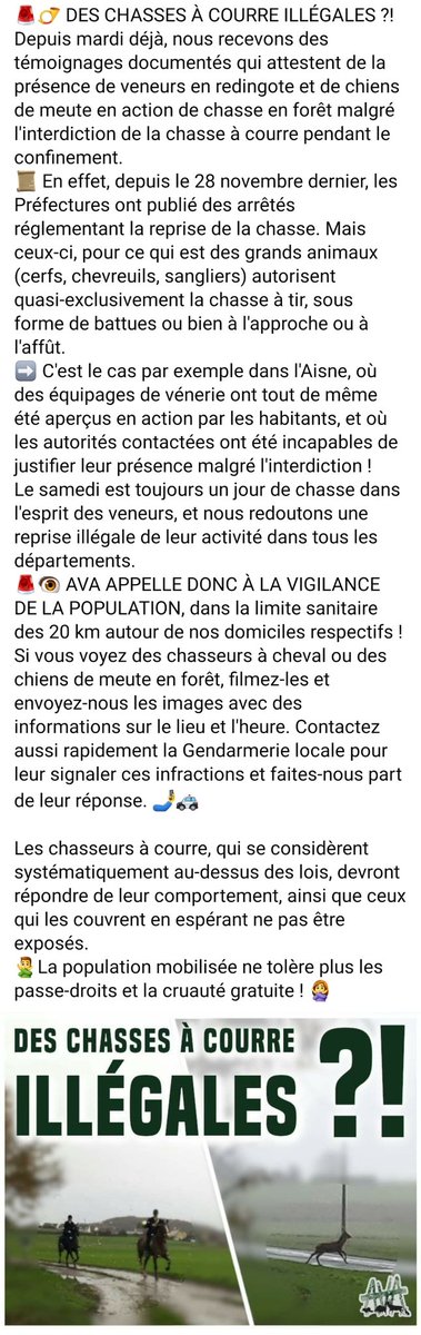 AVA France tweet media