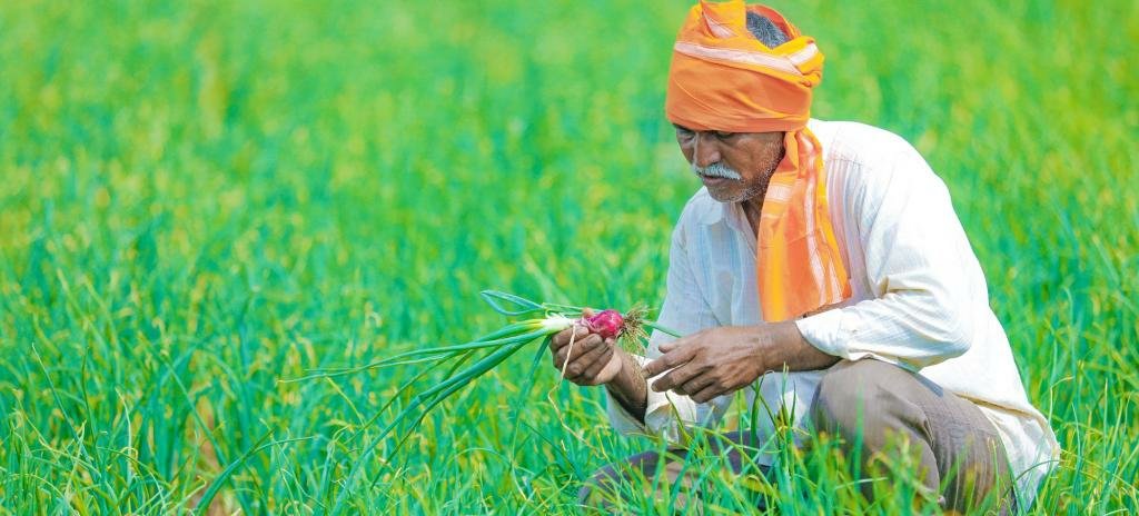 RahulKukkar16's tweet photo. #WeSupportFarmers #farmer #FarmersDilliChalo #FarmerPride #FarmerProtest https://t.co/uT18TphQpb