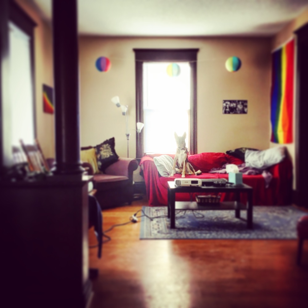 I know that trans and LGBTQ+ issues, in particular, mean a lot to a lot of you out there. If this guy's campaign is a place you can send a few bucks, that's amazing. And if not, that's okay too. Part of onward is going onward together, and helping each other out along the way.