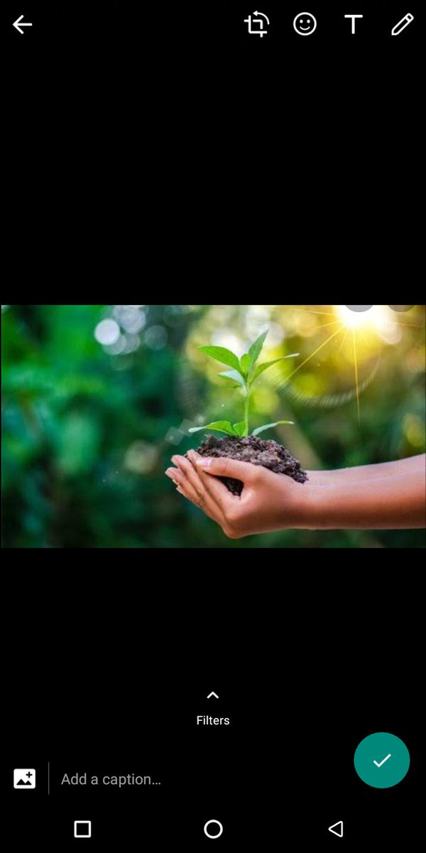 HellenMuriuki11's tweet photo. The major problems in the world are the results of the difference between how nature works and the way people think. Plant a tree even if its your last deed.#EUAmrefKochCleanUP https://t.co/z3aCXX9kTC