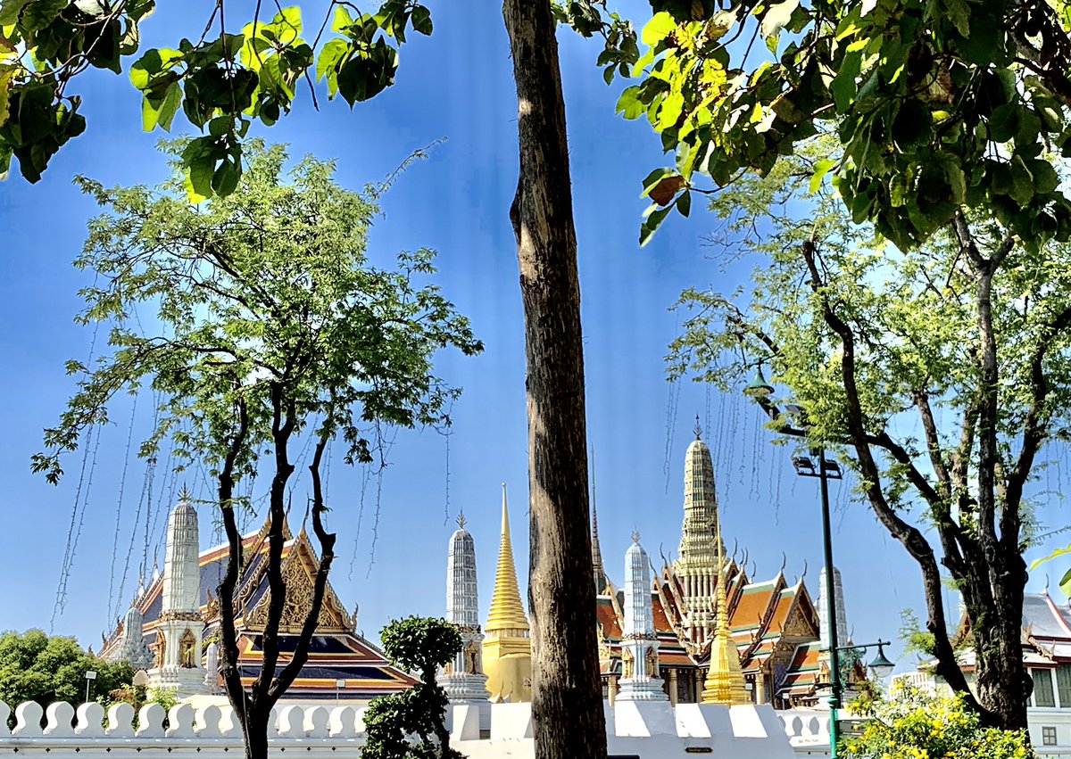 NochPH's tweet photo. #วันพ่อแห่งชาติ 2563 
ผู้คนมารอรับเสด็จกันตั้งแต่เที่ยงๆ โชคดีวันนี้ลมเย็นสบาย แดดจัดหน่อย แต่บรรยากาศรอบๆ ชิวมากครับ 

มีเพลงพระราชนิพนธ์เปิดคลอตลอดเส้นทาง ประชาชนยิ้มแย้มอจ่มใสให้กัน มาด้วยจุดมุ่งหมายเดียวกัน 

💙💛 รักเมืองไทยจัง https://t.co/TaHRTtucG6