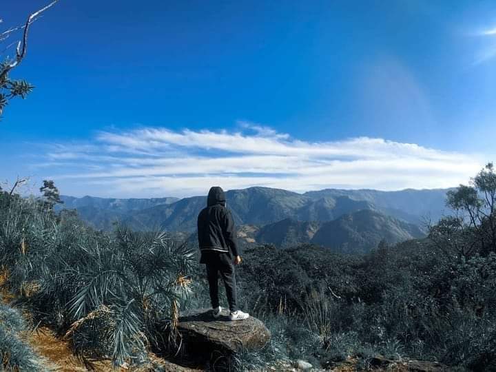 muthukora's tweet photo. #muthukora_hills
മുതുകോരമല 💞
Root- 
♂pala- erattupetta- poonjar- kaippally- muthukora hills

♂Mundakkayam- yendhayar- kaippally- muthukora hills
@Kshore_Tourism https://t.co/skjkop2pwo