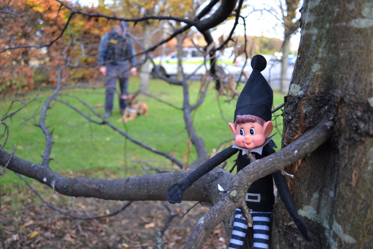 Today, we were right on his trail and so close to finding him but he's managed to disappear again. Where do you think he's gone? #FindDazzler