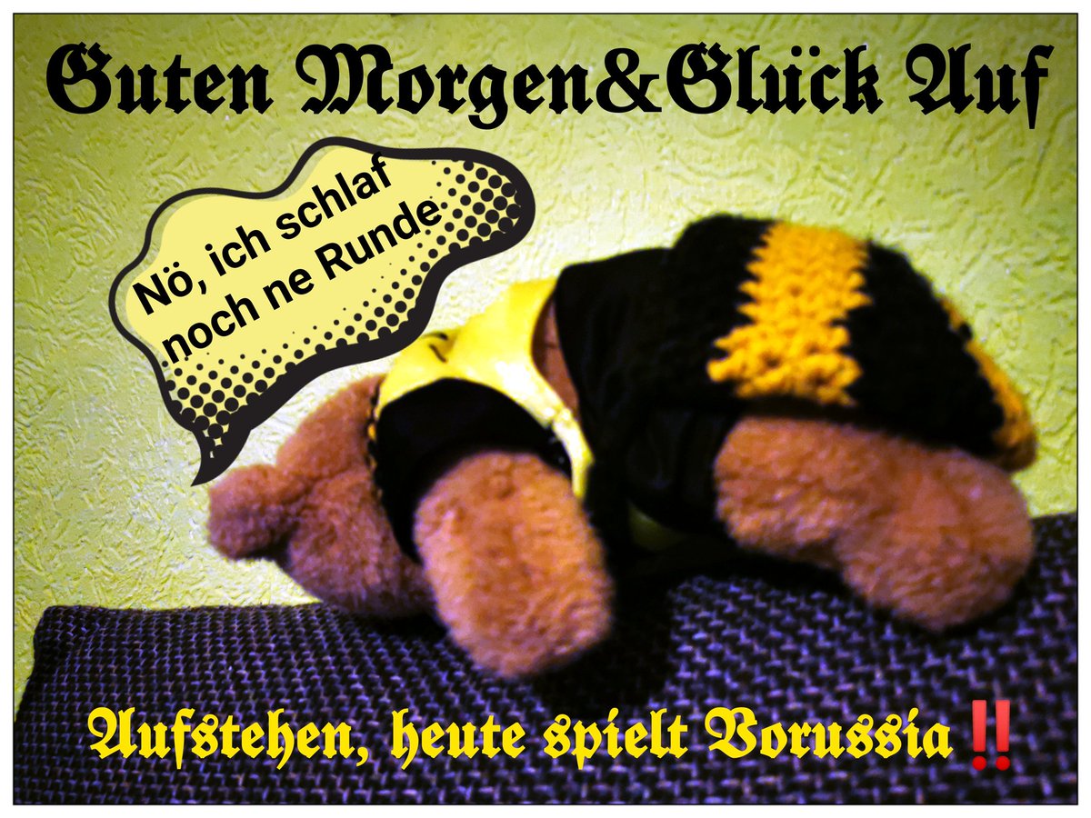 Kalli09Do's tweet photo. @BVB @Bundesliga_DE @polizei_nrw_do #SGEBVB
Aufstehen Eure Hoheit @ZeckenTed09 es is Spieltag, die Jungs brauchen Uns‼️💪🖤💛🖤in dem Sinne habt Euch wohl, bleibt gesund👍
#DatKalli
#DerPoetVomBorsigplatz https://t.co/Id28D6h6Qp