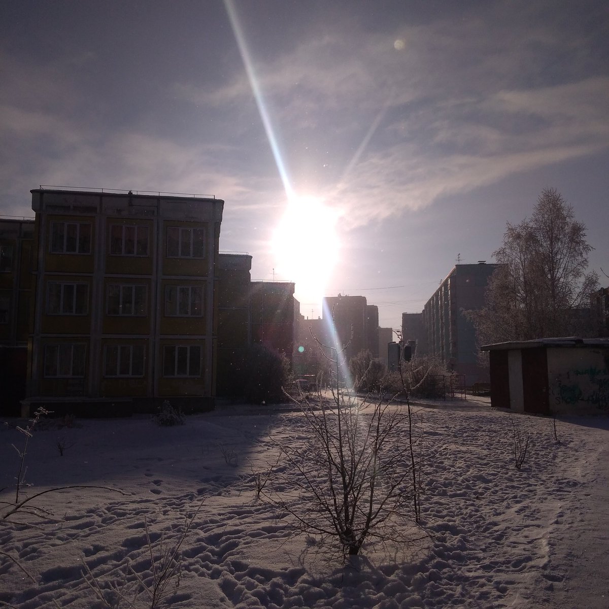 murasaiiro's tweet image. Мороз и солнце; день.чудесный