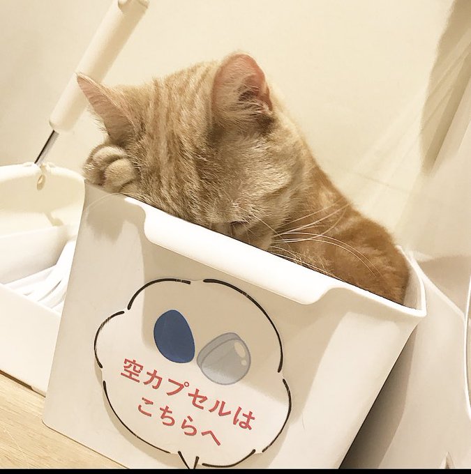 高崎カフェのtwitterイラスト検索結果