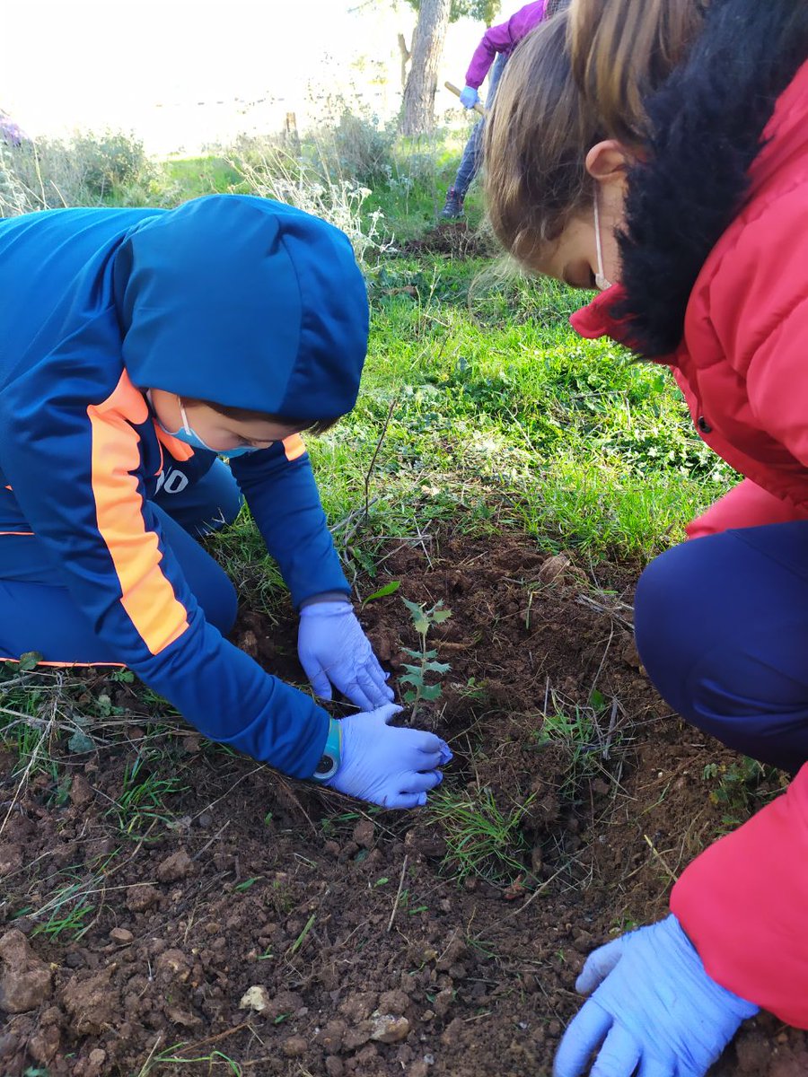 SaboRural tweet media