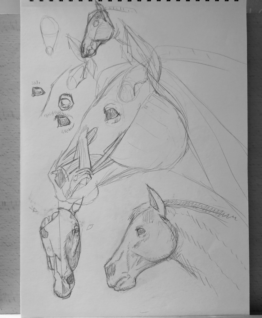 eriktheartyguy's tweet photo. Getting my horses on a la @aaronblaiseart s course
#aaronblaiseart #horse #horse #horsecourse #horseart #creatureartteacher
#art #art_public #art🎨 #drawing #sketch #pencil #pencilsketch #pencilsketches #pencildrawing #comicart #comicsketch #pinup #anatomy https://t.co/U43698gaHL