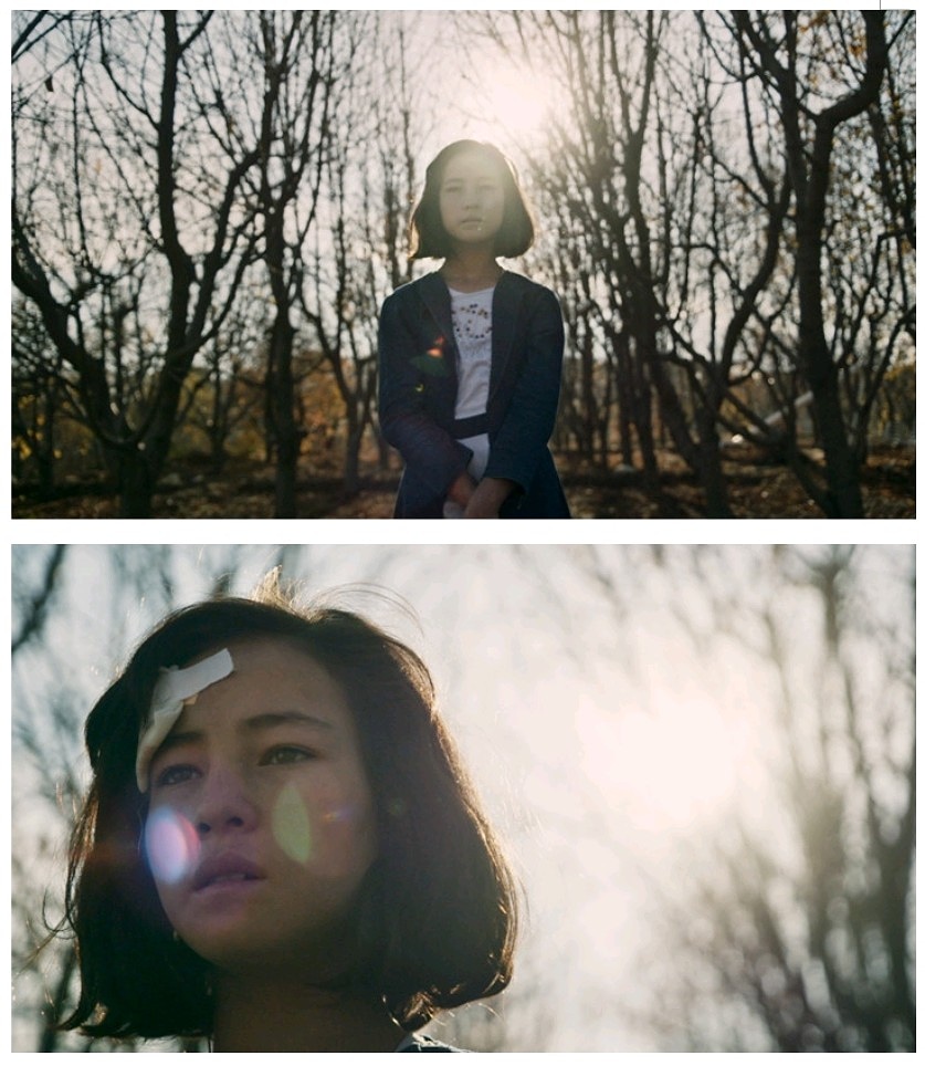 CISHORTFF's tweet photo. Roqaia

Directed by Diana Saqeb Jamal. 

After surviving a suicide bomb attack, 12-year-old Roqaia finds herself in the middle of a media frenzy, as she deals with her trauma all by herself.

Venice International Film Festival Venice 
Italy 
And many more. https://t.co/AWdmVCAzE3