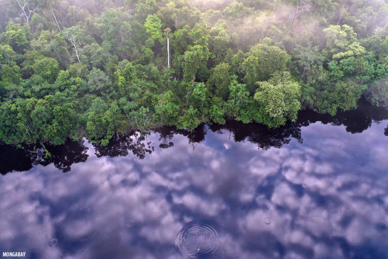 NatMoss's tweet photo. OPINION: One Health: A Necessary Blend of #Biodiversity and #HumanHealth Goals | By Annie Mark
“Using the #BerlinPrinciples and a #OneHealth approach, scientists, practitioners & policy makers can show how nature #conservation underpins human #health.”
https://t.co/8KqHLZO1Jd https://t.co/ci20ATDiFN