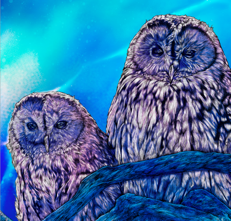 Riverk11 Riverkg17 Twitter