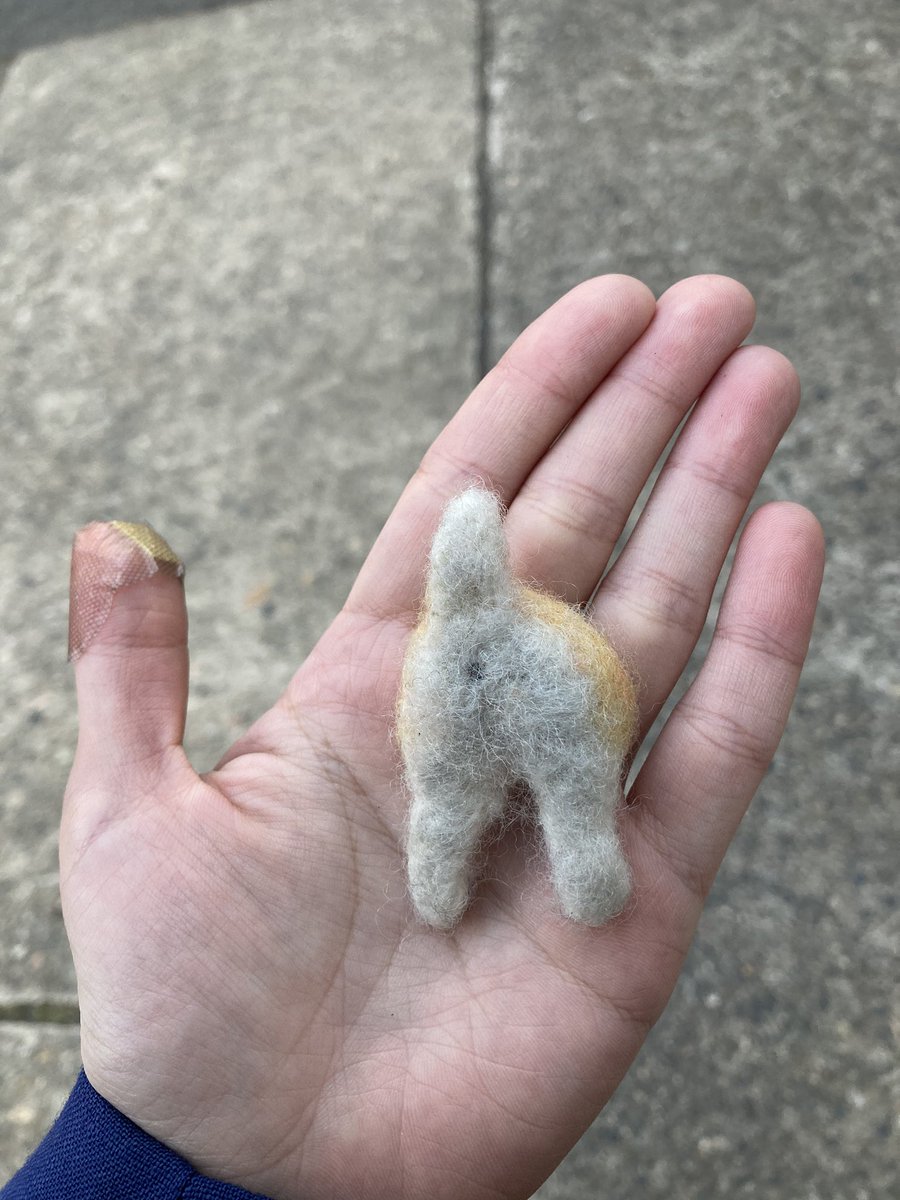 さあや Pa Twitter 鶴舞駅近くの路上で芝犬のお尻をひろいました 木の幹に置いておきました 持ち主の方に届け さあや Pa Twitter 鶴舞駅近くの路上で芝犬のお尻をひろいました 木の幹に置いておきました 持ち主の方に届け
