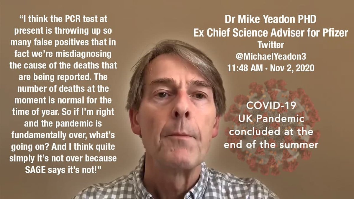 Ultimately, this means the episode we're going through is akin to the 2009 H1N1 hoax that scientists like Wolfgang Wodarg prevented the  @WHO from perpetrating. This time round he was cancelled before he could become an inconvenience, but he has teamed up with  @MichaelYeadon3 2/8