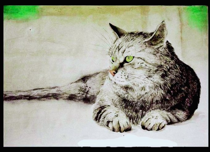 Watercolour 
#art  #catart #artist #artinstagram  #stilllife #watercolor #colorfulartwork #artwork #paninting🎨 #homedecor #interioridecoration #interior  #phitograpy  #usaartgallery #indiaartgallery #fineartist #artgallery #watercolorpainting #stilllifephotos