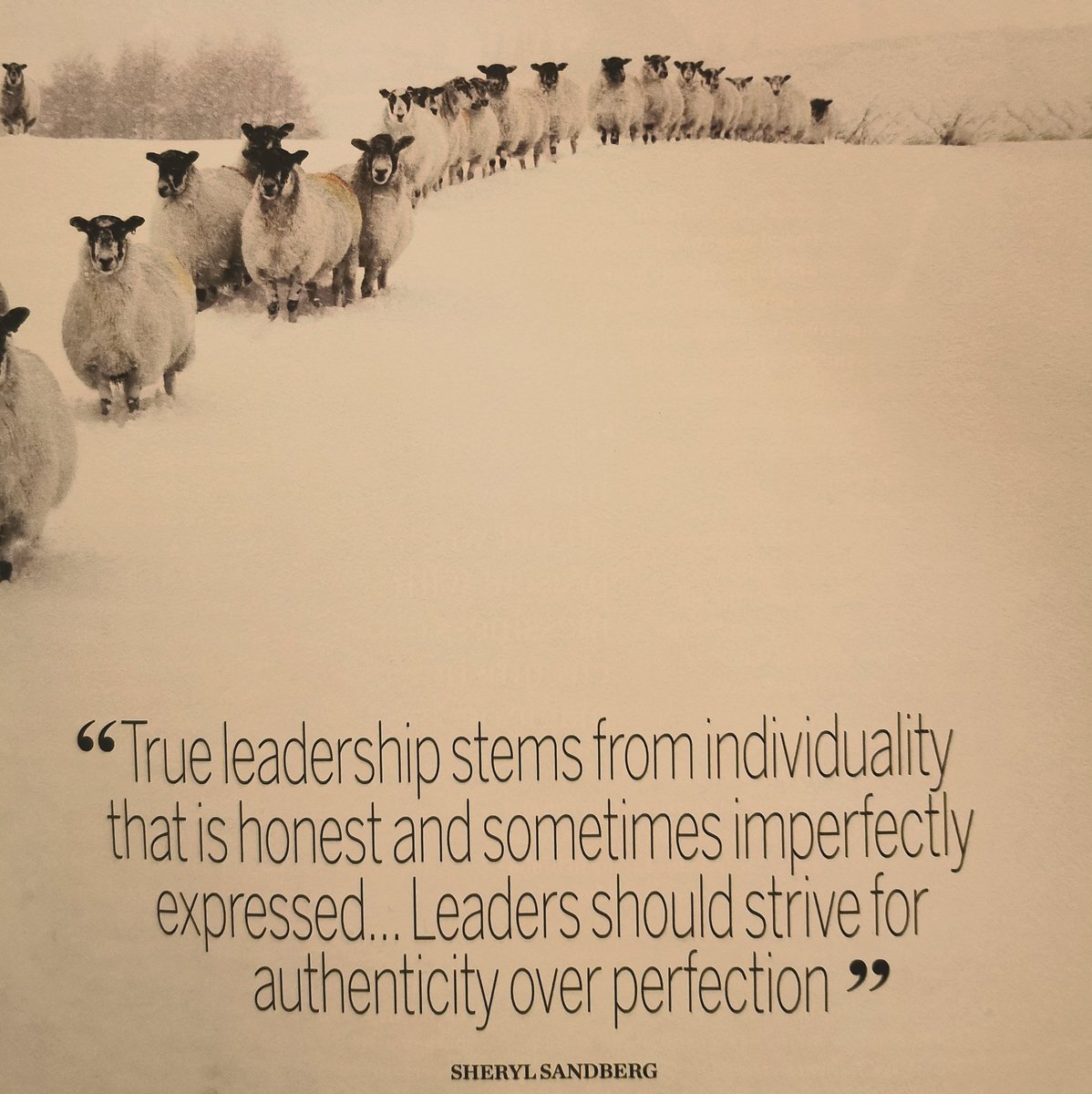 Great leadership requires authenticity &amp; vulnerability.

#GreatLeadership
