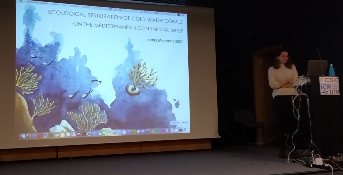 Cristina Linares tweet media