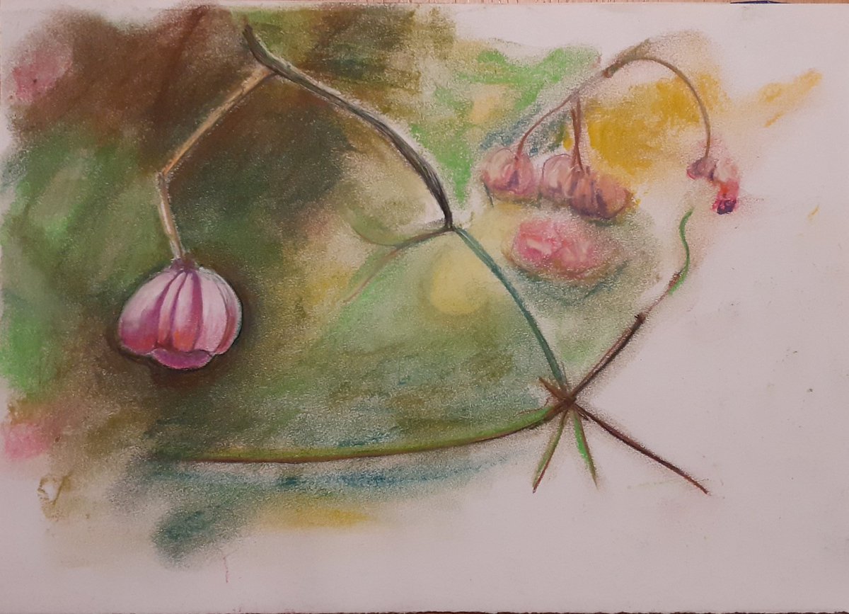 Spindle berries 3 ways
#frozen #lumenprint #pastel #Plymouth #devon #art #spindleberry #photography  #makearteveryday