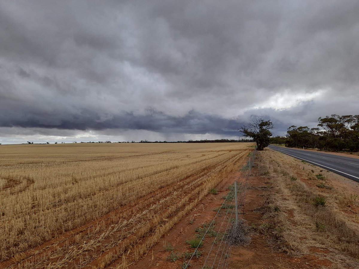 AddsieS's tweet image. Heading into a storm in the mallee @MalleeWeather @BOM_Vic @Johnted_113 @VicStormChasers