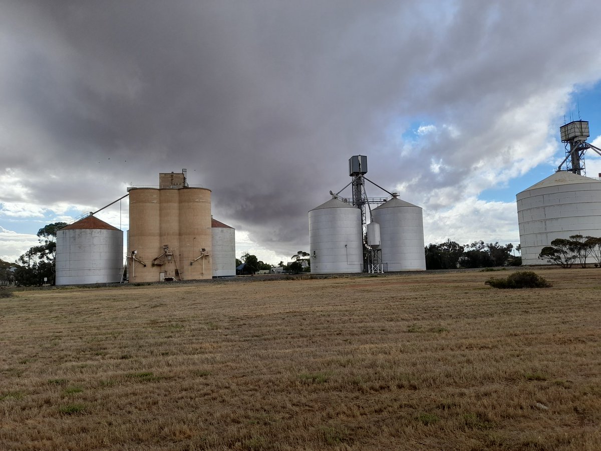 AddsieS's tweet image. Storm in the mallee at manangatang @MalleeWeather @BOM_Vic @Johnted_113 @BOM_VICTORIA