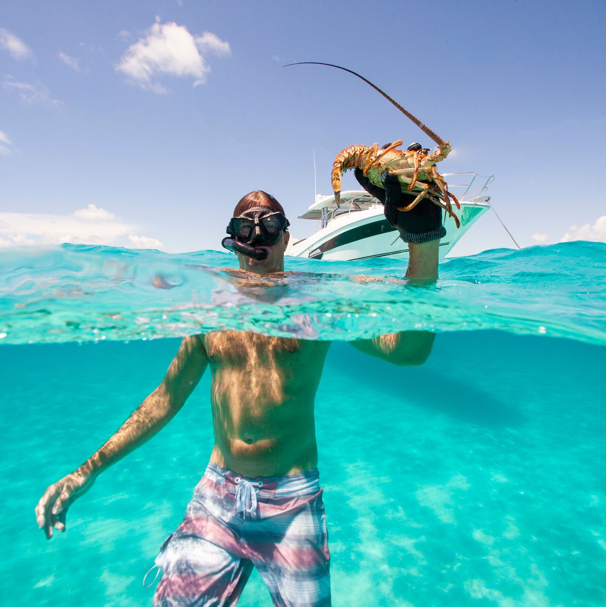 JeanneauAmerica's tweet photo. What are you catching this weekend? 😁 📸 @tomking #jeanneau #jeanneauboats #jeanneaulife #weekendboating #freshcatch #lobster #alligatolighthouse #boatingislamorda #leadertwelvefive #jeanneautwelvefive #weekend #boatlife #boating #newboats #outboardboards #poweredbyyamaha https://t.co/XtI0WUl9kN