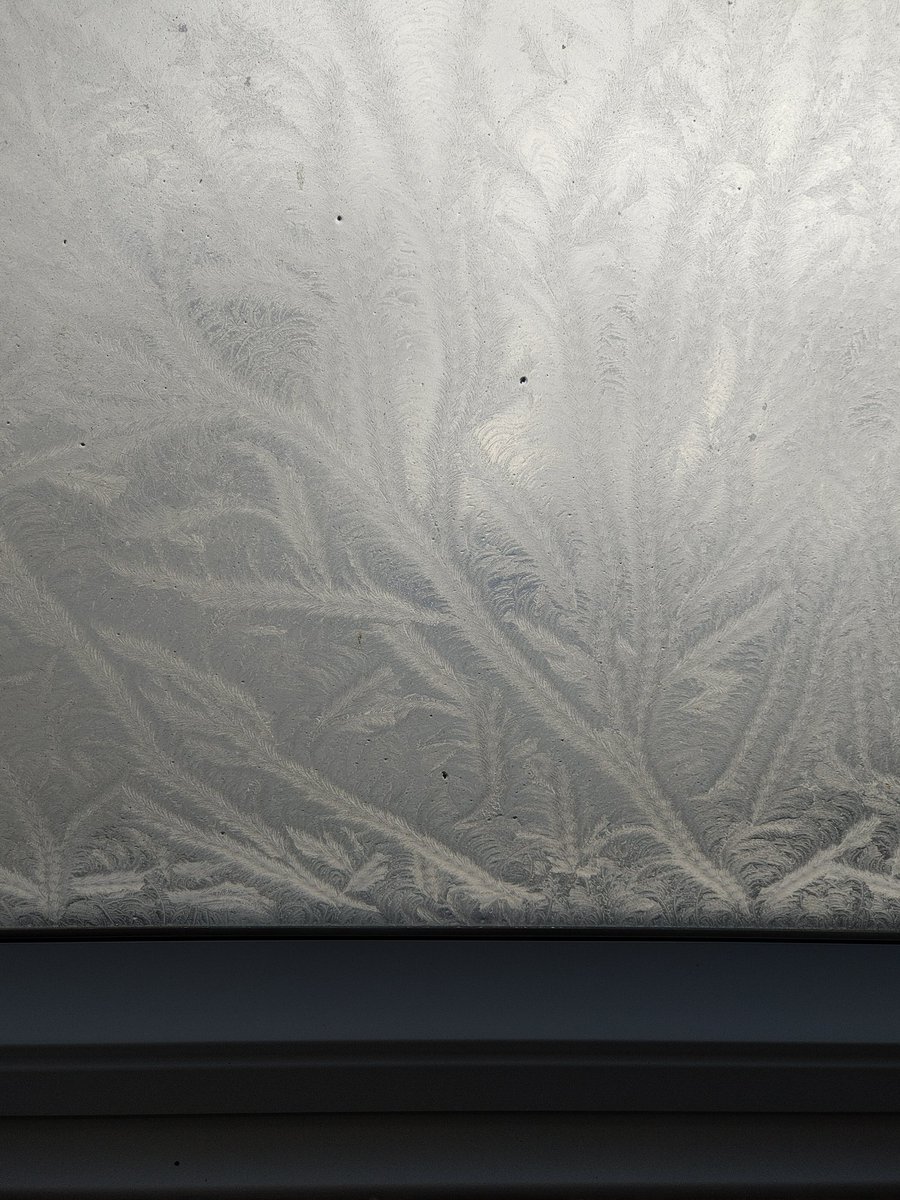 puce68's tweet photo. La nature fait de beau dessin sur les vitres https://t.co/dfK4MVLaE5