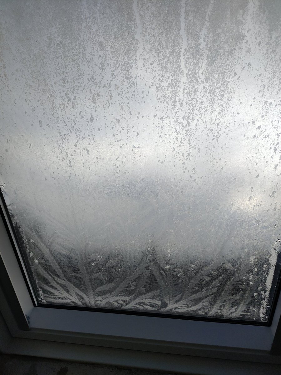 puce68's tweet photo. La nature fait de beau dessin sur les vitres https://t.co/dfK4MVLaE5