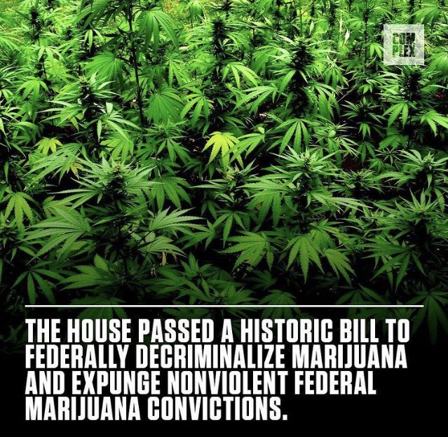TEXCOCONNECTION's tweet photo. House passes historic bill to decriminalize cannabis. #texco #texcoconnection #texascoloradoconnection #txcoconnection #leagalize #cannabis #marijuana #hash #420 #DecriminalizeMarijuana #Decriminalization #decriminalize #co #colorado #texas #tx #denver #cosprings #houston #dallas https://t.co/VR3Y5YUvGi
