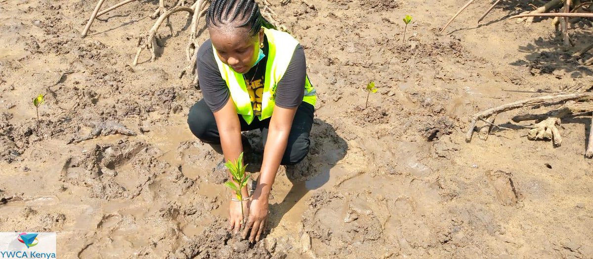 We aim to empower and create an enabling environment for #youngwomen in conservation to reduce inequalities for an inclusive climate resilient society. 🌎💚♻️ 

#ClimateAction  
#YoungWomenLead
#WasteToResource