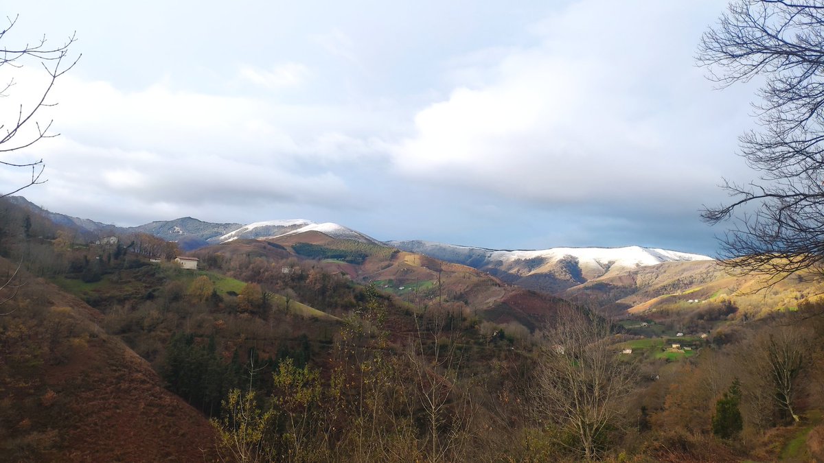etxebeinaki's tweet photo. Errekalekutik (700m.) gotti elurra #Mandoegi #Urepel #Goizueta https://t.co/3IsM5JEXAQ