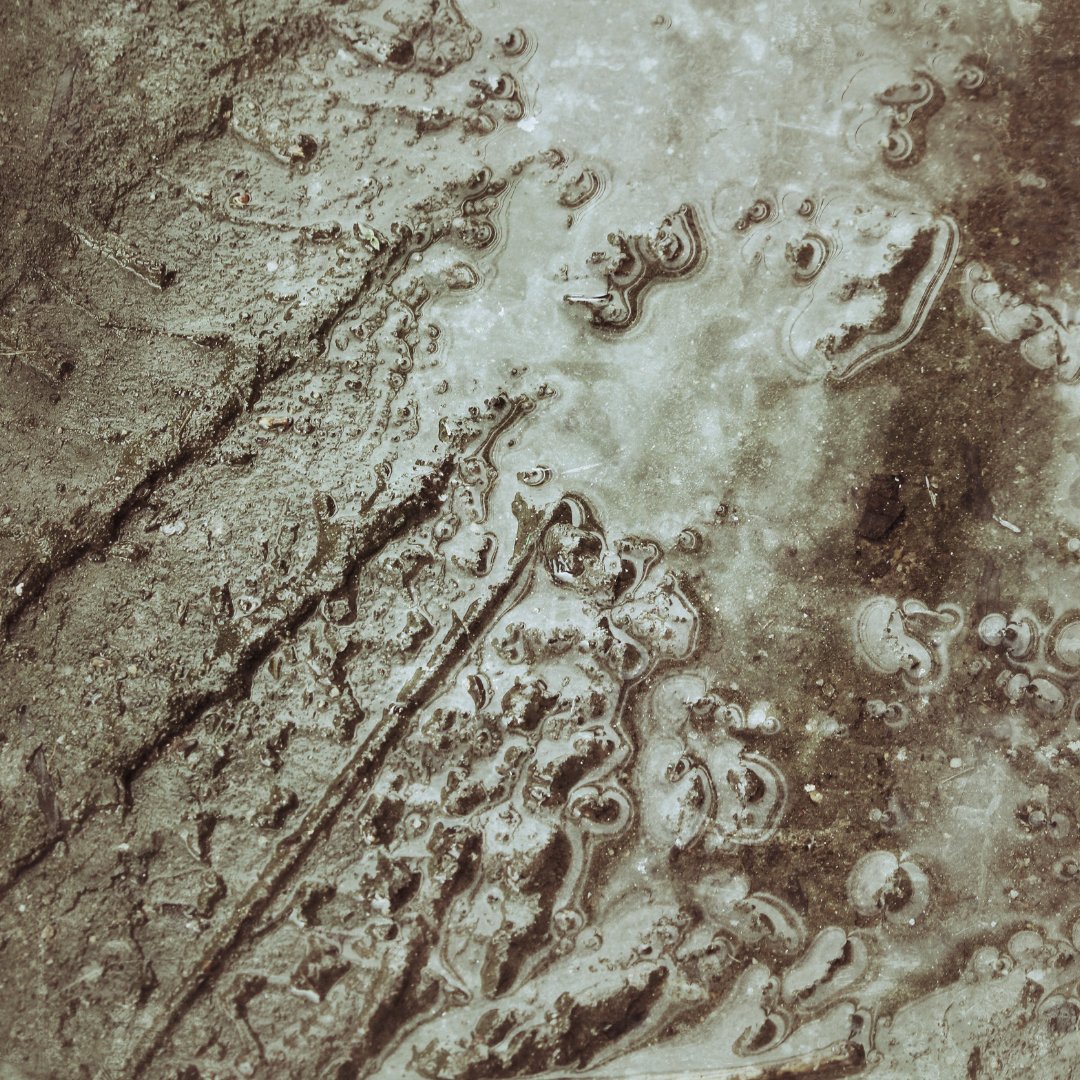 WildFishCons's tweet photo. This #WorldSoilDay we are reiterating our call for Government to properly resource enforcement of #farmingrulesforwater regulations. This simple step would greatly improve our water environments and save money in the long run.
#wateraction #agriculturebill #sedimentpollution https://t.co/xWIRbz6npi