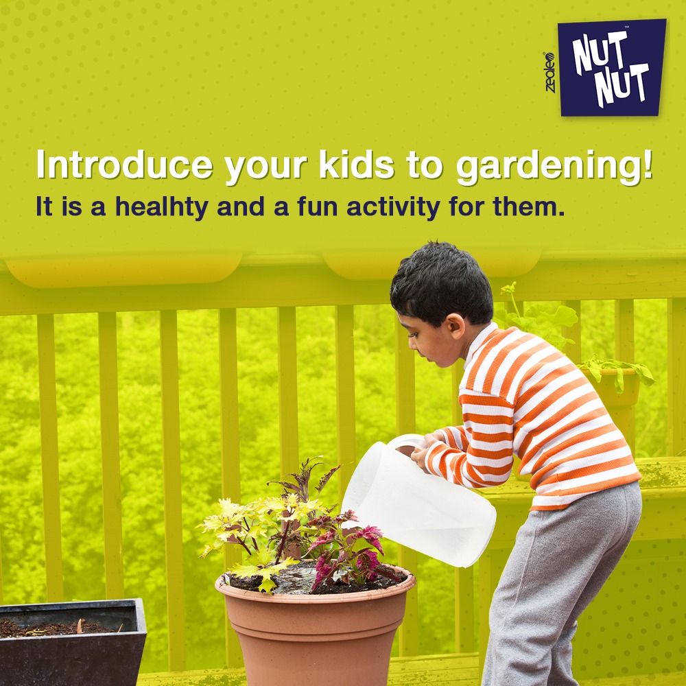 NutNut_in's tweet photo. Gardening is not only a fun activity, but it also teaches your kids about responsibility, team work, respecting nature and learning from where and how fresh food comes.

#kidsmealplate #kidsmealideas #kidsmeal #nutnutbar #NutNut #Kids #kidsgrowth #Kidshealth  #Nuts #kidssnacks https://t.co/8af8xeuxnL