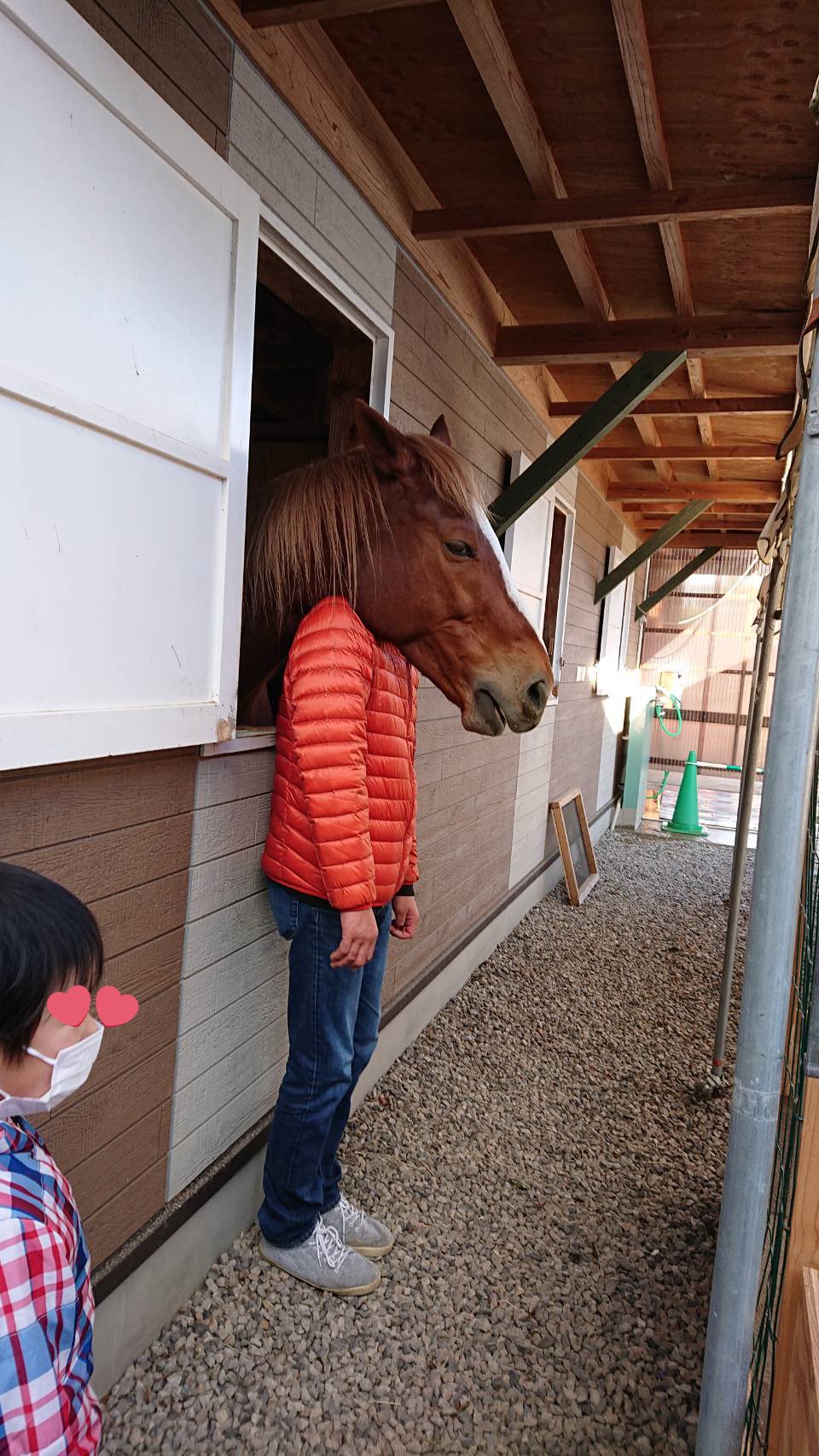 奥さんに写真を撮ってもらったところ めちゃ馬面みたいになったw 話題の画像プラス 奥さんに写真を撮ってもらったところ めちゃ馬面みたいになったw 話題の画像プラス