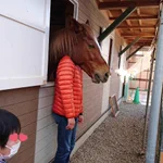 奥さんに写真を撮ってもらったところ…めちゃ馬面みたいになったw