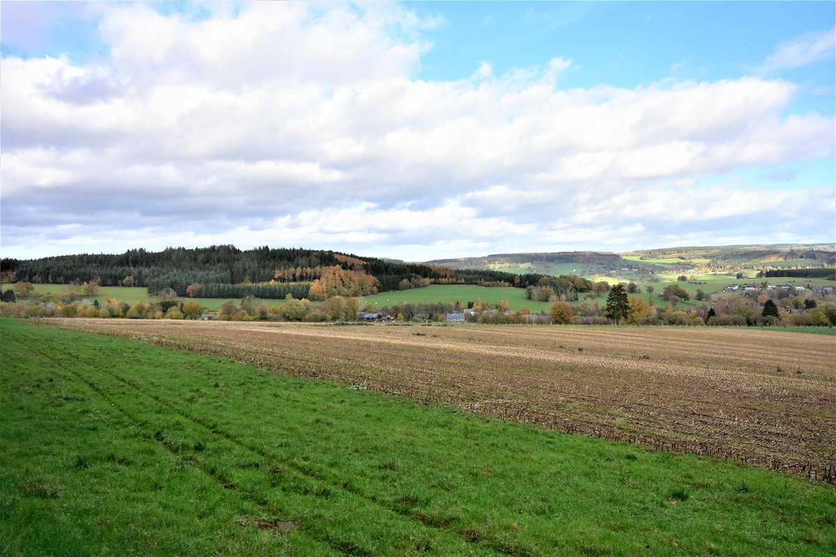 Groupe COFIM tweet media