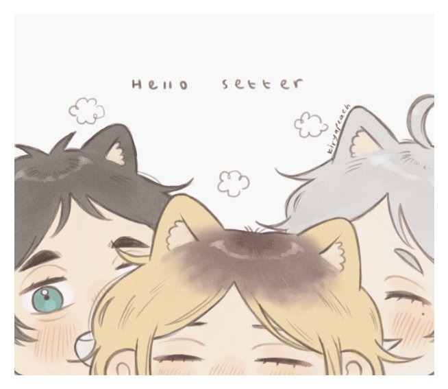 Settewrs (*'˘`*) ft.Oikawa lol 