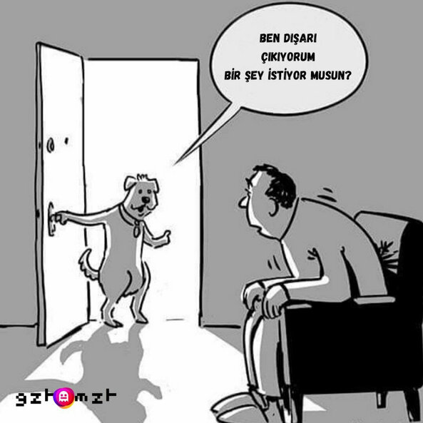 кот прячется. умора картинки с надписями. юмор сидим дома. котенок прячется. поп арт девушка с компьютером.