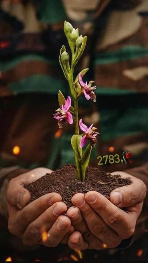 Ar_gsan's tweet photo. #2783AzerbaijaniHeroes #KarabakhisAzerbaijan #Azerbaijan https://t.co/JbEYvAd4YQ