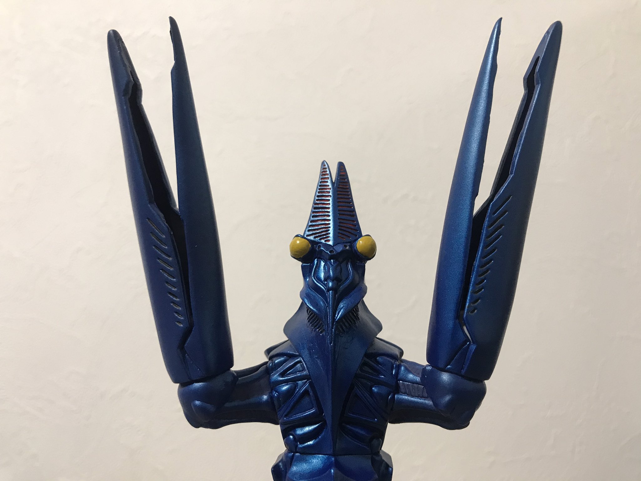 キヌタぬき on X: 