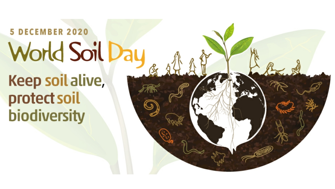 BigHannaCompost's tweet photo. Today the 5th of December UN has announced as the 'World soil day' 2020. It is announced by FAO - 'Food and Agriculture Organization of the United Nations'. https://t.co/CoIv2EDzr5 https://t.co/VDcu7KIfY9