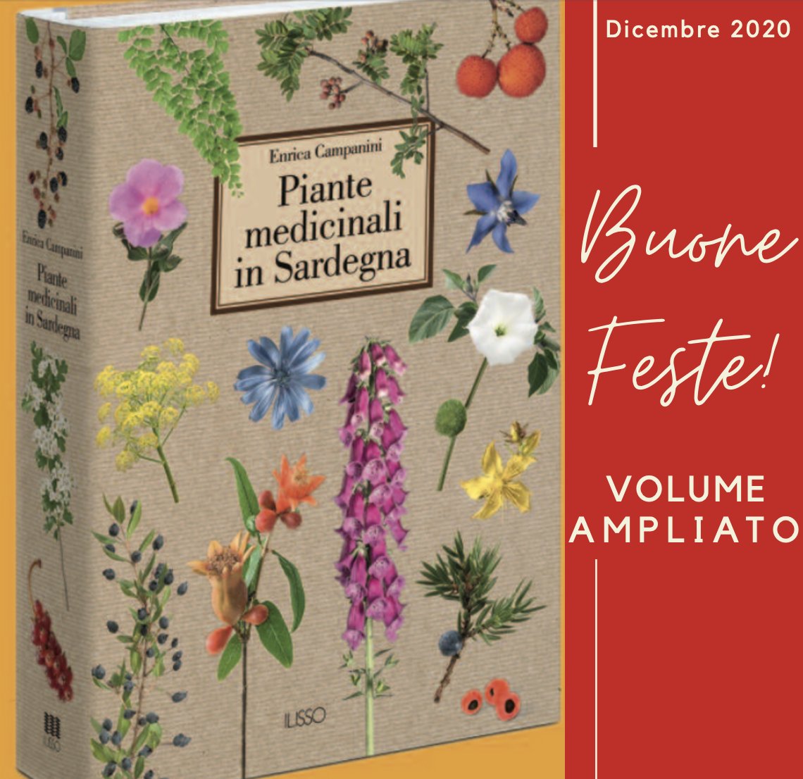 ilissoedizioni's tweet photo. Finalmente disponibile la nuova attesissima edizione: Piante medicinali in Sardegna. 
Oltre 700 foto e 20 nuove piante medicinali che portano a più di 150 le specie esaminate https://t.co/6ZcLAhJS43
Ilisso edizioni #EnricaCampanini #NellyDietzel https://t.co/ZuDb2lwBug