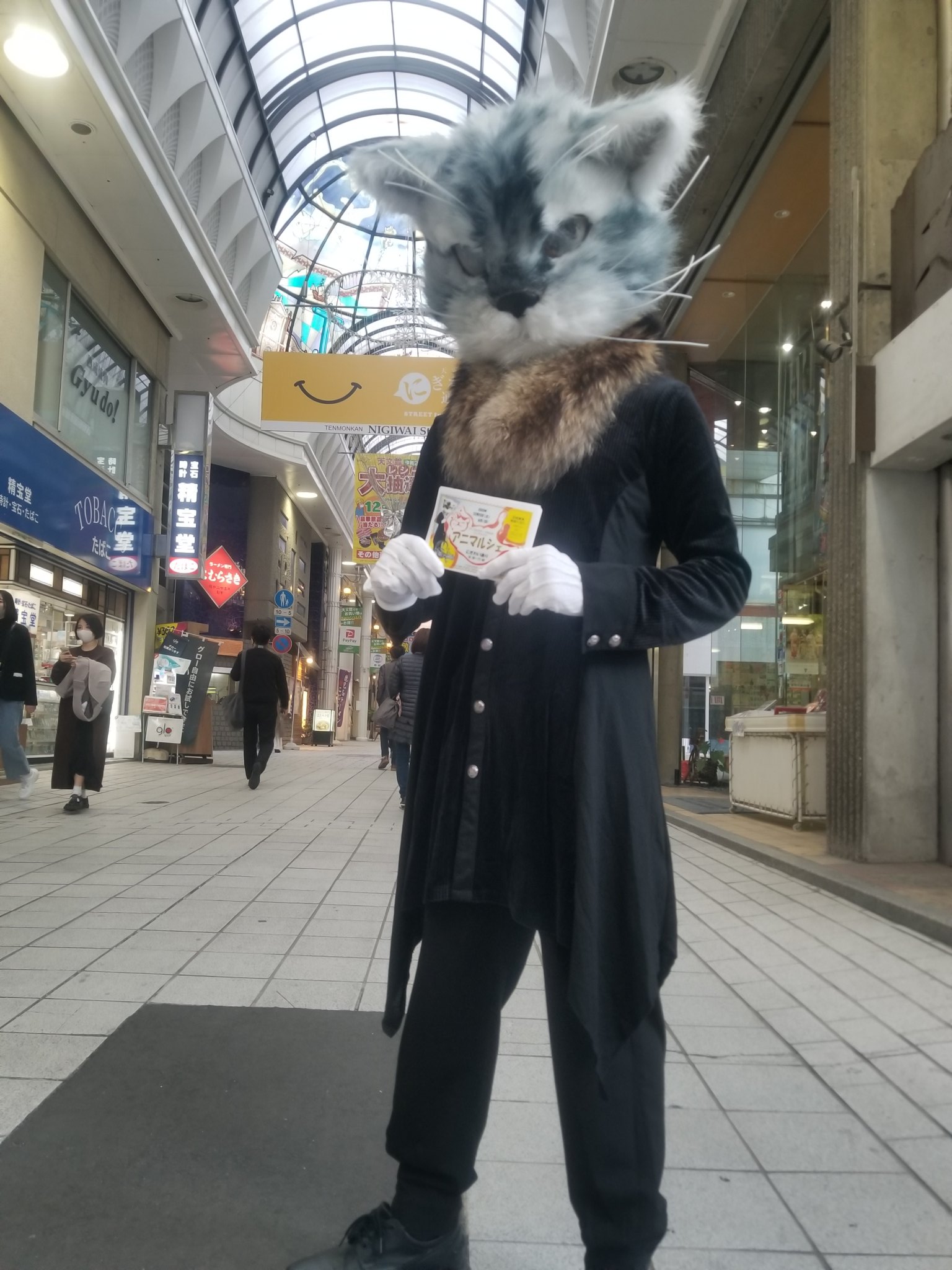 青藺 Aoi アニマルシェ1日目 終了しました ご来場の皆さま ありがとうございました 明日もにぎわい通りでお待ちしてますよー Nyan Da Rake にゃんだらけ 鹿児島 ハンドメイド フリーマーケット マルシェ 鹿児島ハンドメイド 里親募集