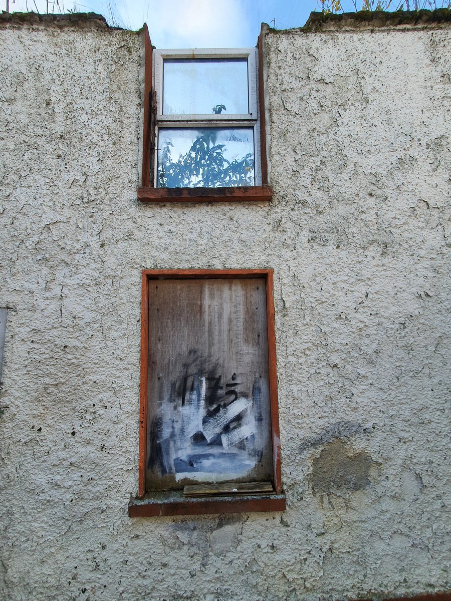 down an old laneway lies another decaying house in Cork cityshould be someone's homeNo.204  #HousingForAll  #regeneration  #dereliction  #wellbeing  #economy