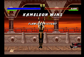 Finish Him. Flawless Victory. Fatality