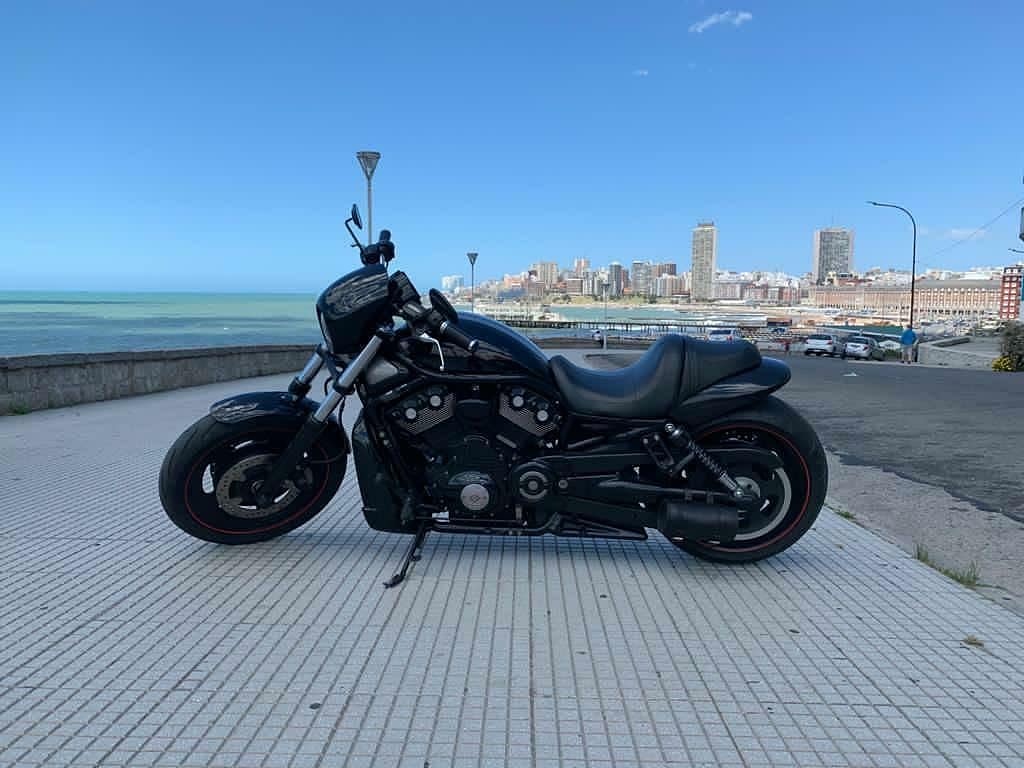 harleygalicia's tweet photo. 🤘#harleydavidson #harley #harleydavidsonmotorcycles #harleydavidsongalicia #harleydavidsongirl #harleygirl #harleylife #bikergirl #garajeclandestino #iron883 #streetrod #fortyeight #lowrider #fatboy #softail #breakout #streetbob #roadgilde #rodadking #vrodmuscle #custm https://t.co/mCI5Qy3HXM