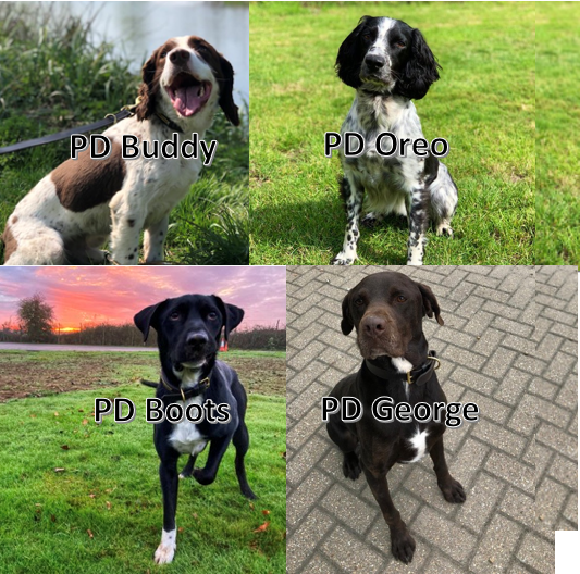 Stansted Airport Dog Section tweet media