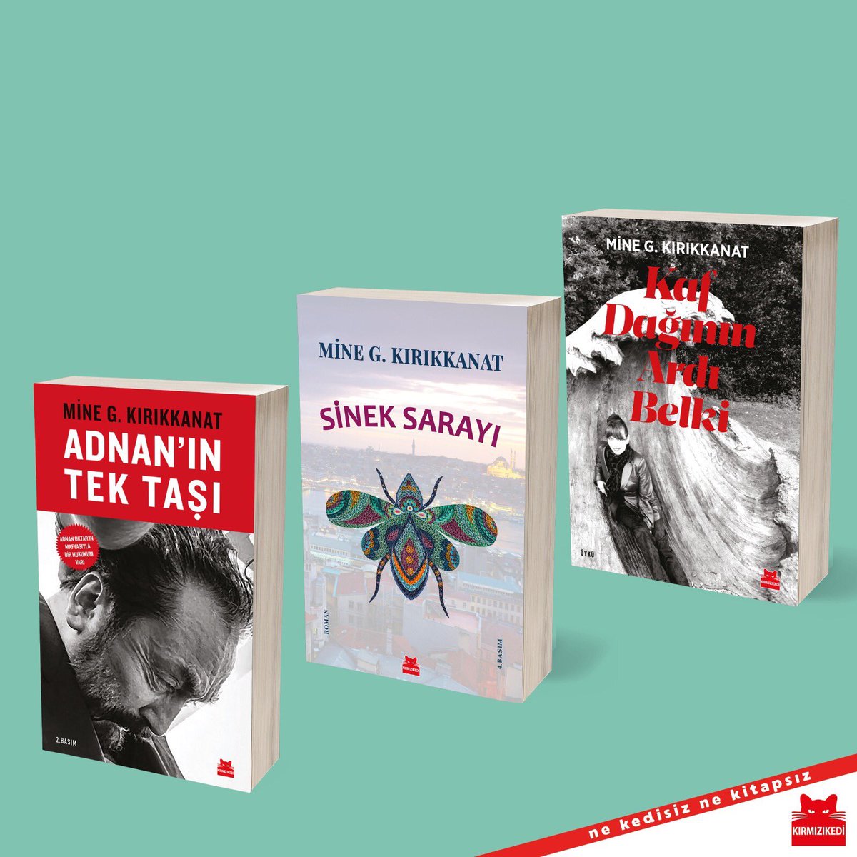 Kirmizi Kedi Yayinevi Nin Tum Kitaplari 40 Indirimli Kedi Kitap Nisan
