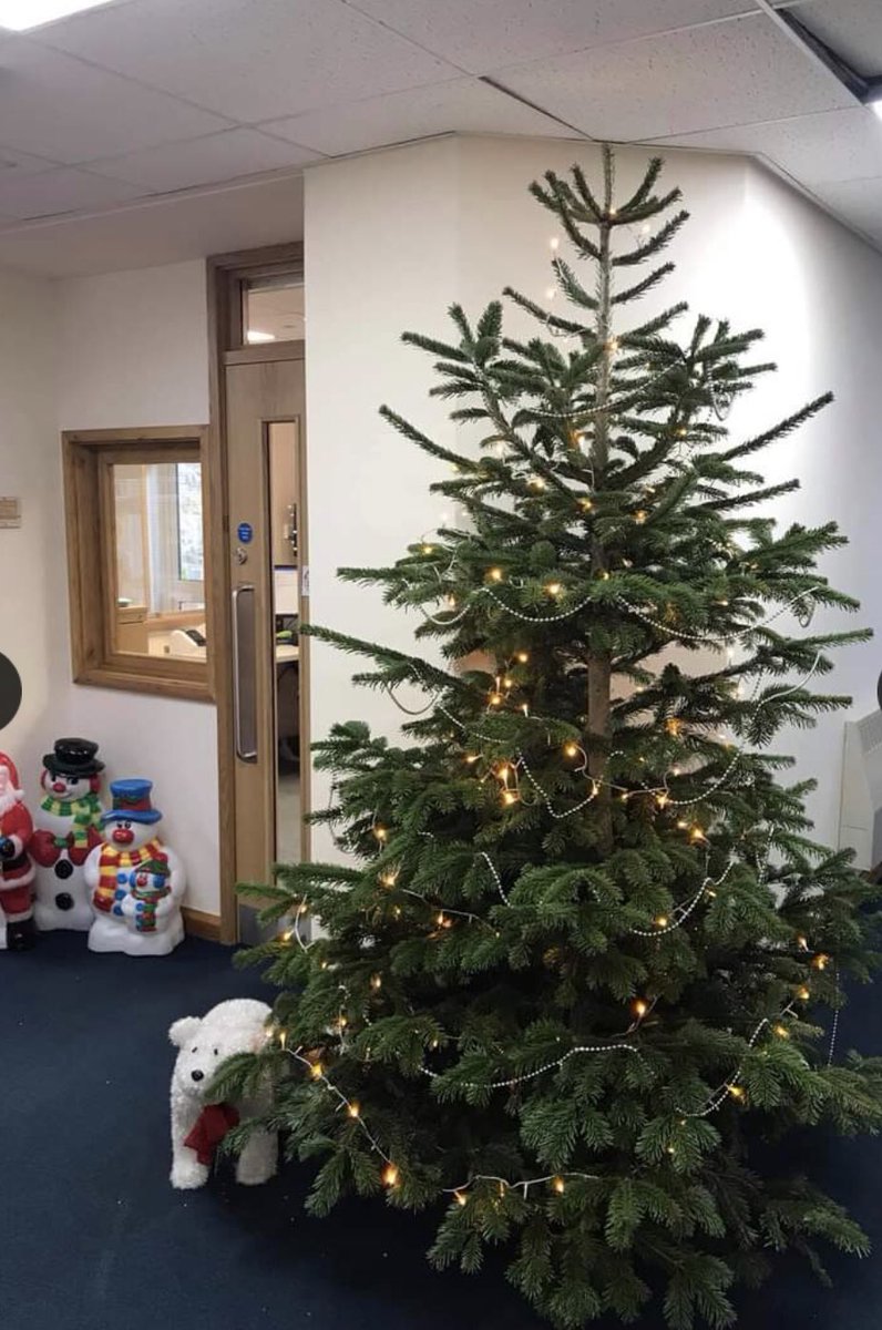 Our Christmas tree is iready for the children’s homemade decorations. Please bring your decorations into school on Monday to make our tree even more beautiful! 

Thanks to Cornish Masks CV19  for  kindly donating the tree.