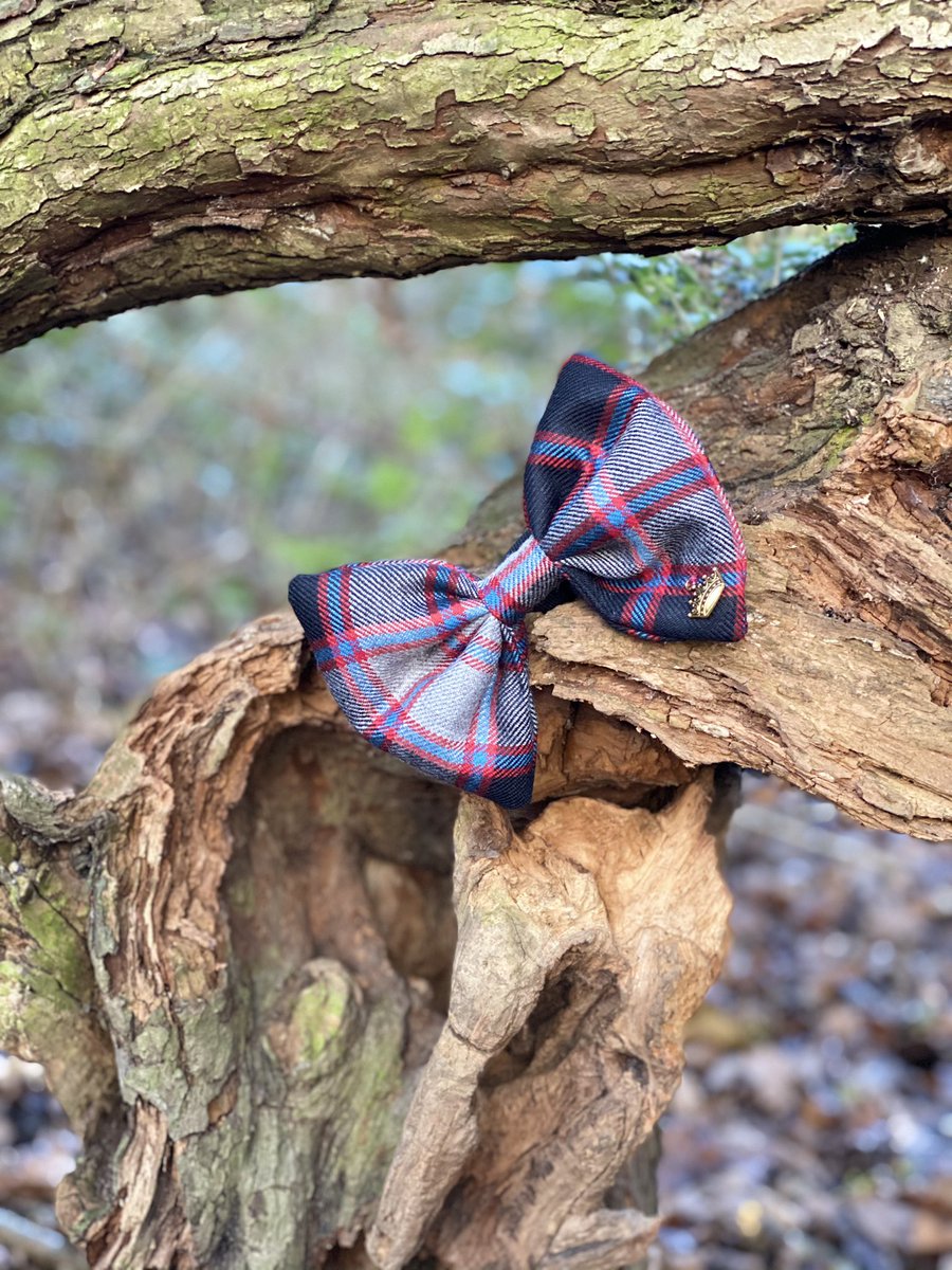 HarrieHattie's tweet photo. #macpherson Large #dogs Luxury Pet Couture - Highland Tartan 
Iconic beauty awaits your pets. Shop both website and Etsy 
https://t.co/NrEeaOS7Hk OR https://t.co/ysdHeBD4c1 .

#dogs #dogsoftwitter #doggy #tartan #ilovemydog #dogsofinstagram https://t.co/Mptj6mnM8W