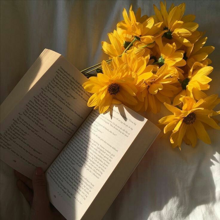 Yacchannn___'s tweet photo. Beautiful afternoon, before 'malming' 👀👎 https://t.co/n5EcXnIUAI